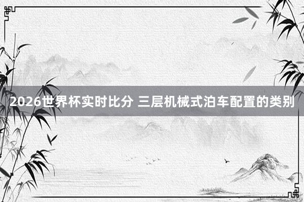 2026世界杯实时比分 三层机械式泊车配置的类别