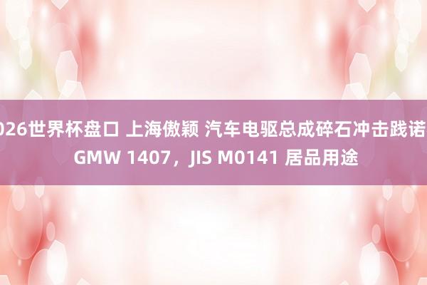 2026世界杯盘口 上海傲颖 汽车电驱总成碎石冲击践诺机 GMW 1407,JIS M0141 居品用途