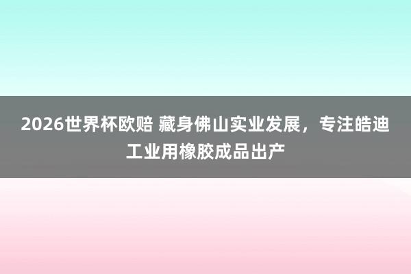 2026世界杯欧赔 藏身佛山实业发展,专注皓迪工业用橡胶成品出产