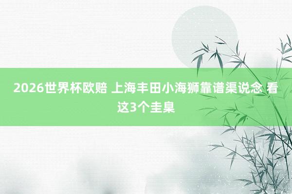2026世界杯欧赔 上海丰田小海狮靠谱渠说念 看这3个圭臬