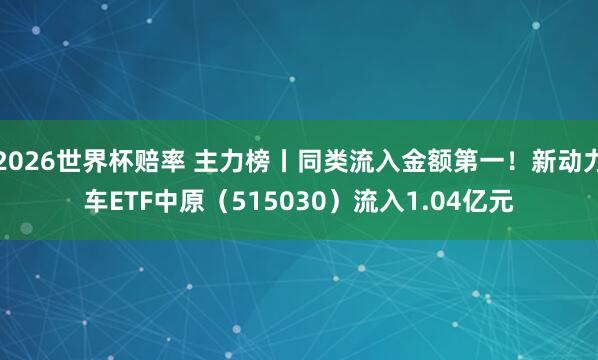 2026世界杯赔率 主力榜丨同类流入金额第一!新动力车ETF中原(515030)流入1.04亿元