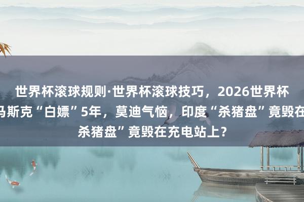 世界杯滚球规则·世界杯滚球技巧,2026世界杯文字直播 马斯克“白嫖”5年,莫迪气恼,印度“杀猪盘”竟毁在充电站上?