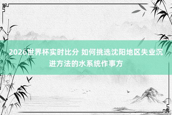 2026世界杯实时比分 如何挑选沈阳地区失业沉进方法的水系统作事方