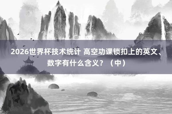 2026世界杯技术统计 高空功课锁扣上的英文、数字有什么含义?(中)