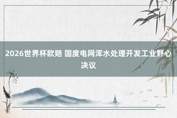 2026世界杯欧赔 国度电网浑水处理开发工业野心决议