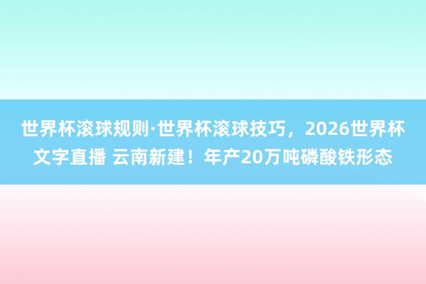 世界杯滚球规则·世界杯滚球技巧,2026世界杯文字直播 云南新建!年产20万吨磷酸铁形态