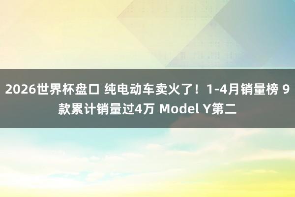 2026世界杯盘口 纯电动车卖火了!1-4月销量榜 9款累计销量过4万 Model Y第二