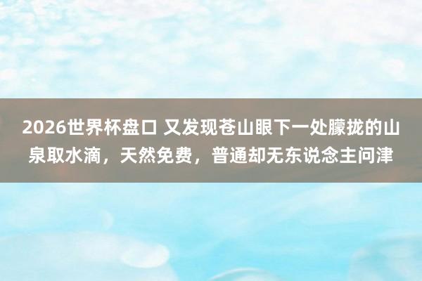 2026世界杯盘口 又发现苍山眼下一处朦拢的山泉取水滴,天然免费,普通却无东说念主问津