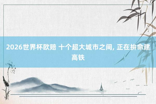 2026世界杯欧赔 十个超大城市之间, 正在拚命建高铁