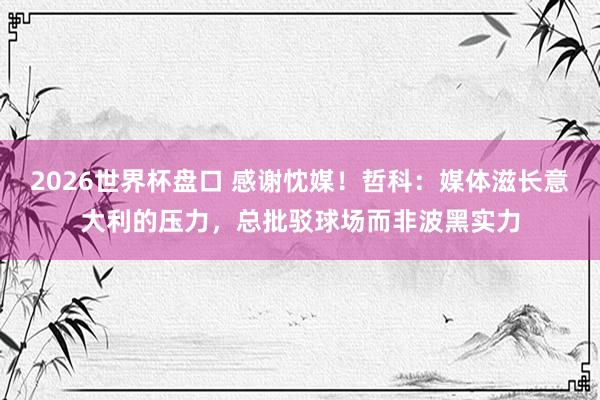 2026世界杯盘口 感谢忱媒!哲科:媒体滋长意大利的压力,总批驳球场而非波黑实力