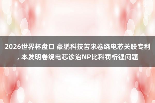 2026世界杯盘口 豪鹏科技苦求卷绕电芯关联专利, 本发明卷绕电芯诊治NP比科罚析锂问题