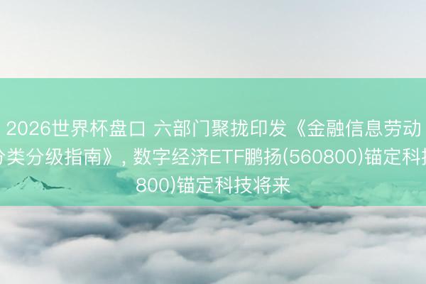 2026世界杯盘口 六部门聚拢印发《金融信息劳动数据分类分级指南》, 数字经济ETF鹏扬(560800)锚定科技将来