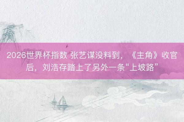 2026世界杯指数 张艺谋没料到,《主角》收官后,刘浩存踏上了另外一条“上坡路”