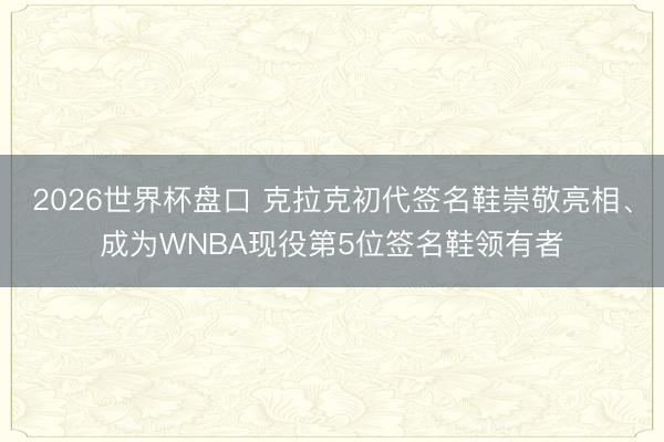 2026世界杯盘口 克拉克初代签名鞋崇敬亮相、成为WNBA现役第5位签名鞋领有者
